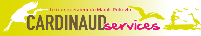 Page d'accueil du site Cardinaud services